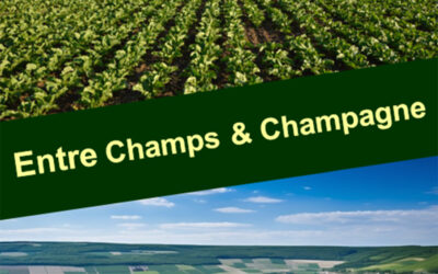 ‘Entre Champs & Champagne’ Rally