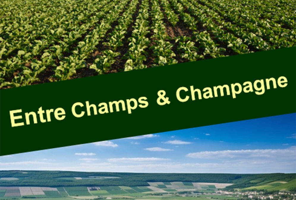 Rallye « Entre Champs & Champagne »